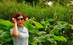 麻豆一精品传媒媒短视频下载